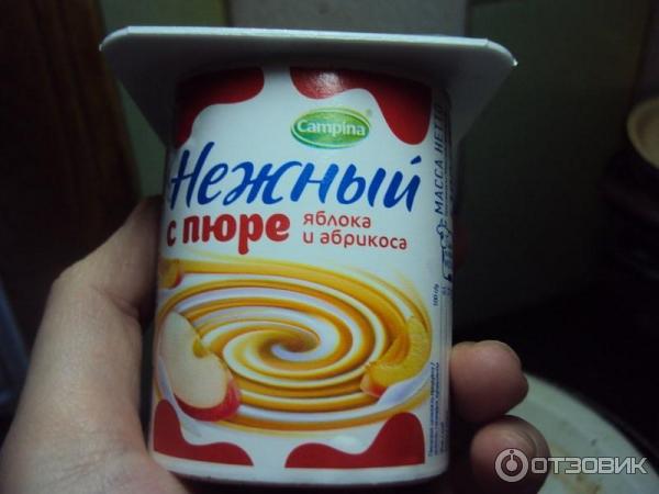 Йогурт продукт Campina Пюре фото