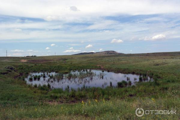 Озеро Малое Чебачье Акмолинская область Казахстан