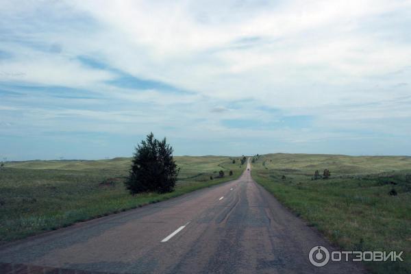 Озеро Малое Чебачье Акмолинская область Казахстан