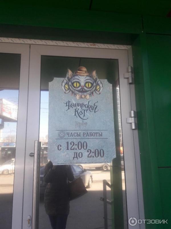 Чеширский кот вологда