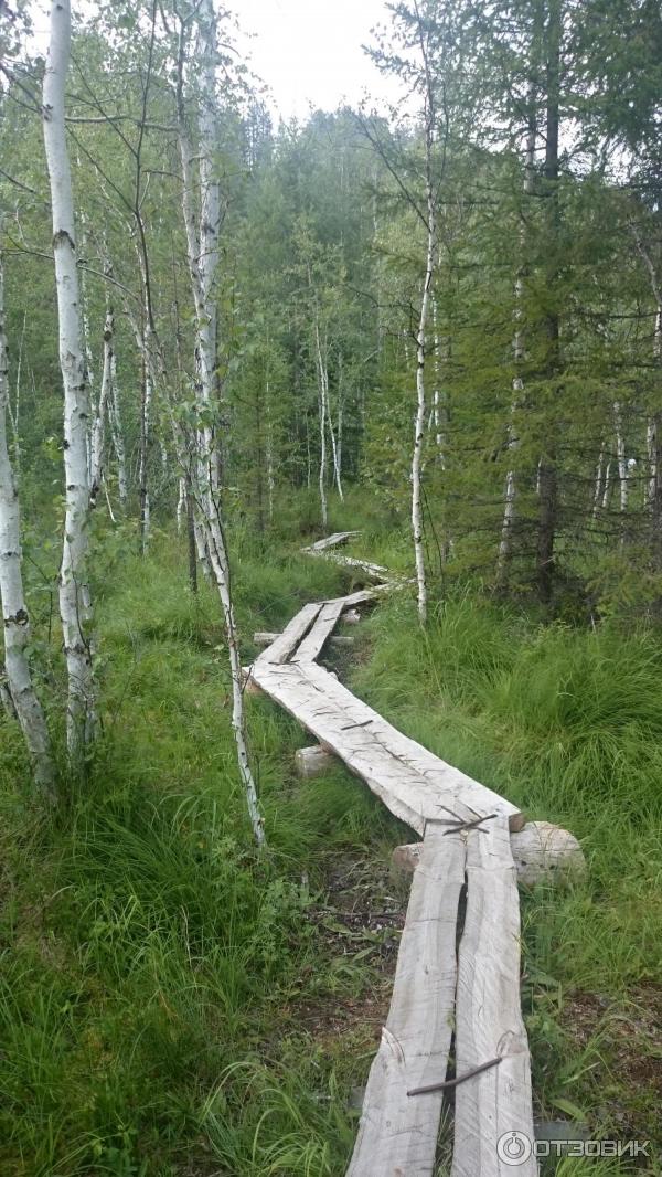 Скальник Витязь Иркутск Фото