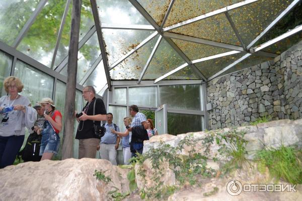 Экскурсия в пещеру Прометея и заповедник Сатаплия от компании BatumiLife (Грузия) фото