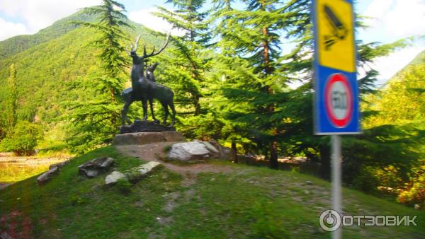 Экскурсия по военно-грузинской дороге (Грузия, Мцхета-Мтианети) фото