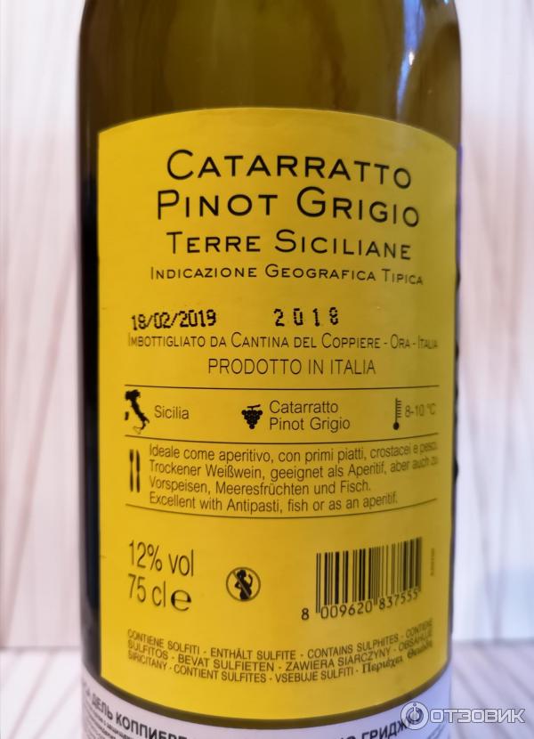 Pinot Grigio Вино Цена Белое