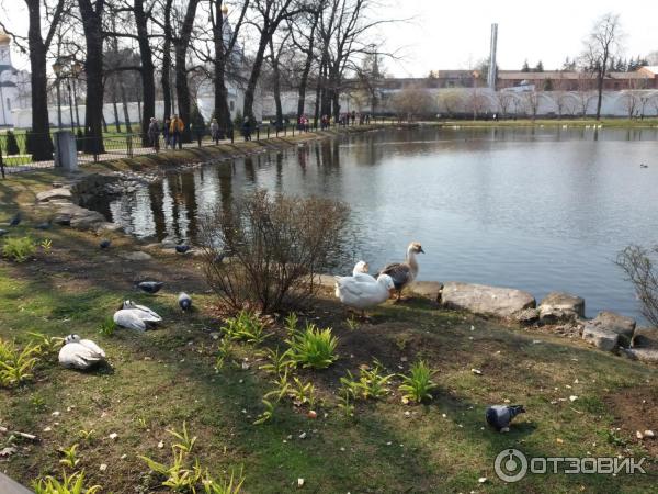 Николо - Угрешский монастырь (Россия, Московская область) фото