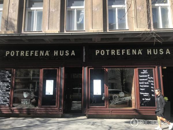 Кафе Potrefena Husa (Чехия, Прага) фото