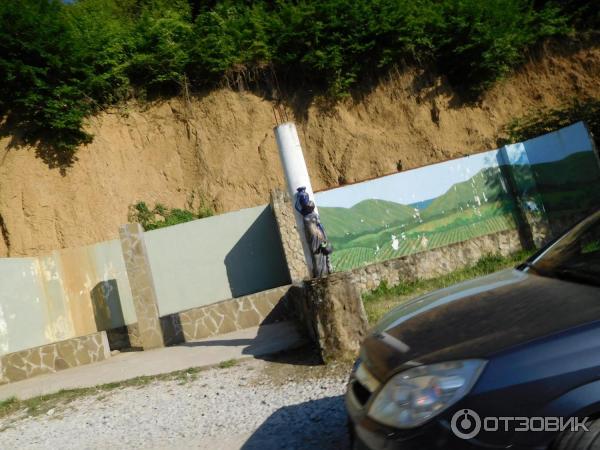 Отдых в с. Абрау-Дюрсо (Россия, Новороссийск) фото