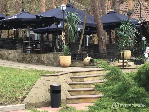 Ресторан в парке кисловодска. Ресторан в парке кисловодска. Ресторан в парке кисловодска старый парк. Сосновая горка кафе. Кисловодск ресторация.