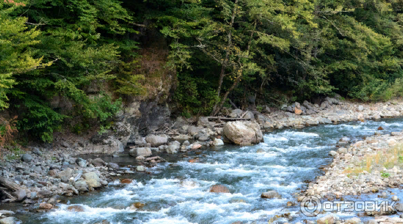 Рафтинг на реке Мзымта (Россия, Краснодарский край) фото