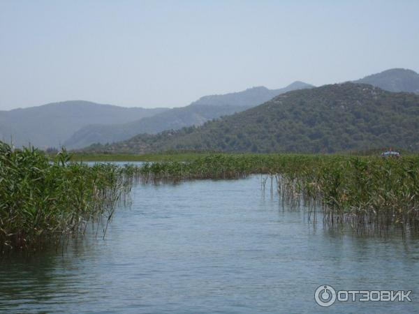 Отель Flamingo 4* (Турция, Мармарис) фото