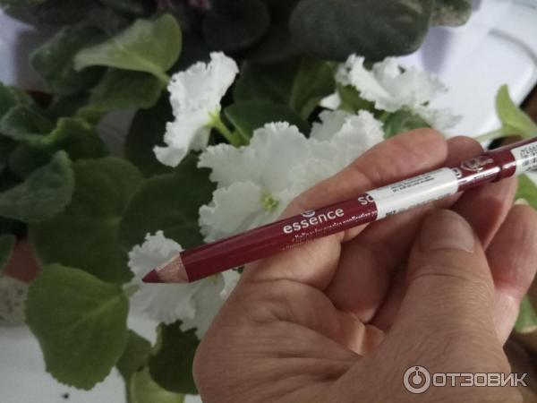 Карандаш для губ Essence Lipliner фото