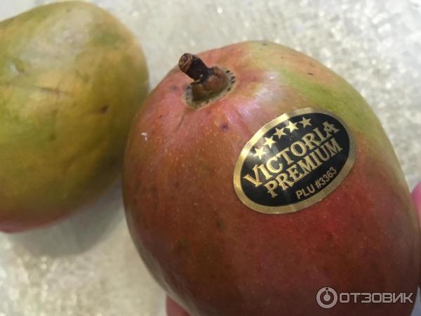 Yetuk anusni yalash Rus seks kasting video