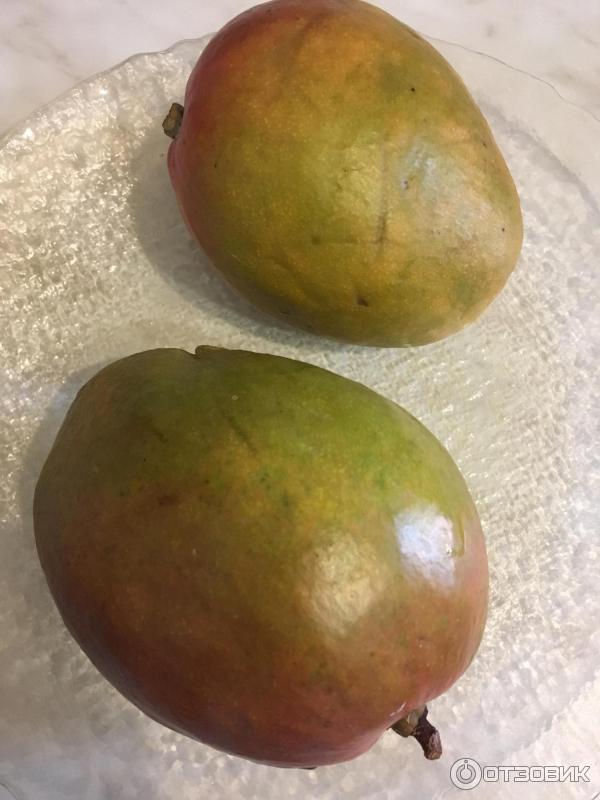 Ajoyib eshaklar porno onlayn Mast holda jinsiy aloqa