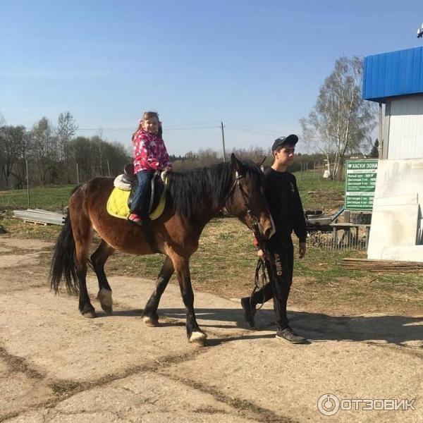 Агротуристический комплекс Зооферма Шихово (Россия, Московская область) фото