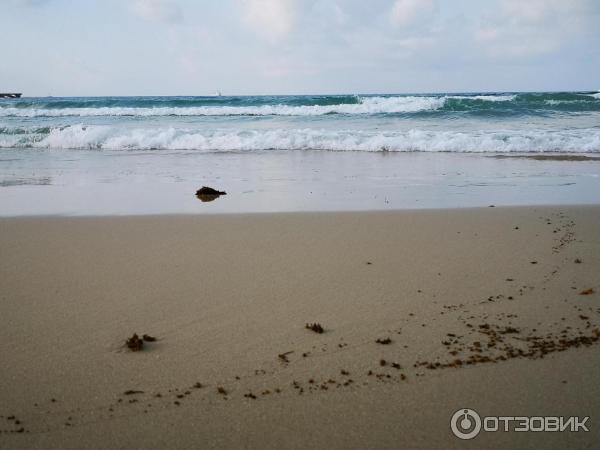 Отель Dadonghai Hotel Sanya 5* (Китай, о. Хайнань) фото