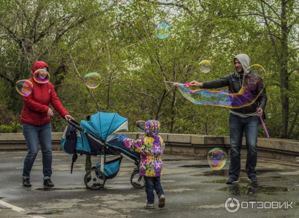 Семейные радости