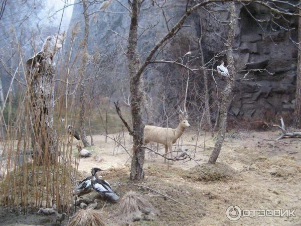 Биологический музей (Швеция, Стокгольм) фото