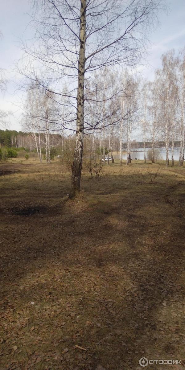 Белоярское водохранилище Свердловская область фото