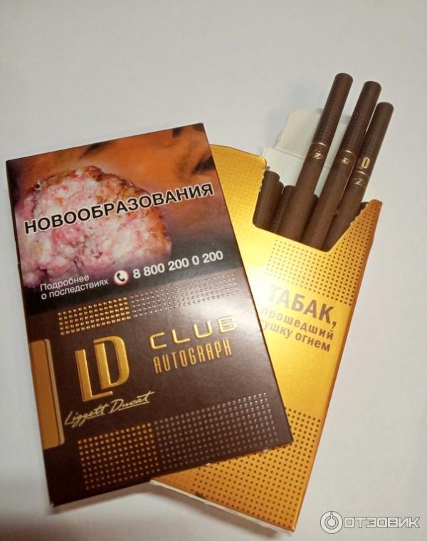 Сайт ld. Сигареты LD Club Compact Autograph коричневые. Сигареты LD Club Autograph. Сигареты LD Autograph Club Lounge. Пачка сигареты LD Autograph Club Compact.