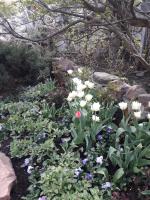 Московский Зоопарк (Россия, Москва) фото