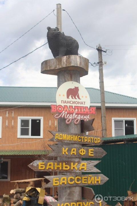 Пансионат Большая Медведица (Россия, Краснодарский край) фото