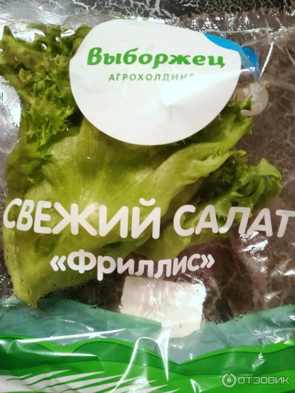 Семена Фриллис Купить В Петрозаводске