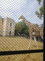 Московский Зоопарк (Россия, Москва) фото