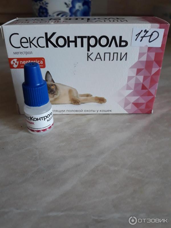 Секс Контроль Капли Для Котов Сколько Каплей Секс Контроль Капли Для Котов Сколько Каплей