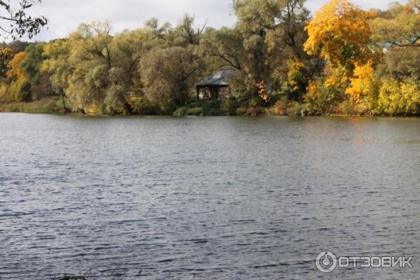 Ясная Поляна (Россия, Тульская область) фото