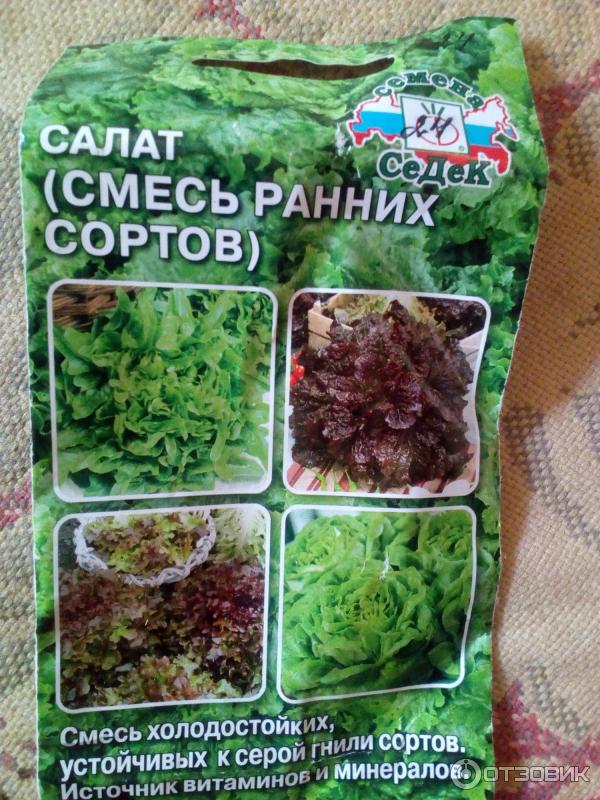 Салат Экзакт Купить Семена