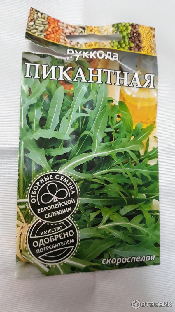 Руккола Купить