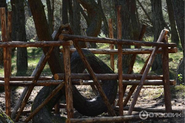 Автобусная экскурсия на Куршскую косу с турфирмой Юнона (Россия, Калининградская область) фото