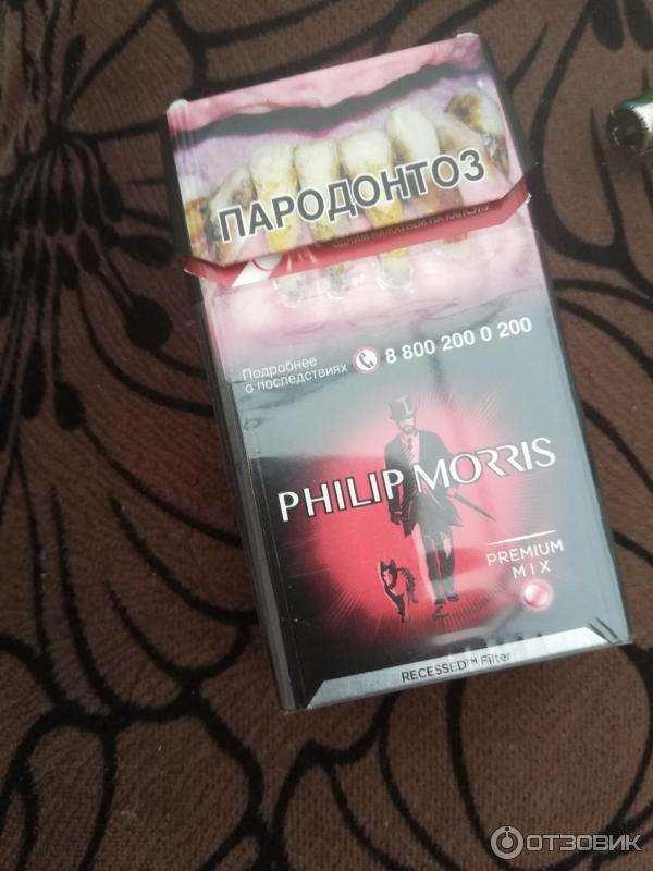 Philip morris siesta mix. Сигареты Филип Моррис премиум микс. Philip Morris Compact Premium Mix. Сигареты СФ, Philip Morris Compact Premium МТ (159). Сигареты Philip Morris Compact Premium яркий.