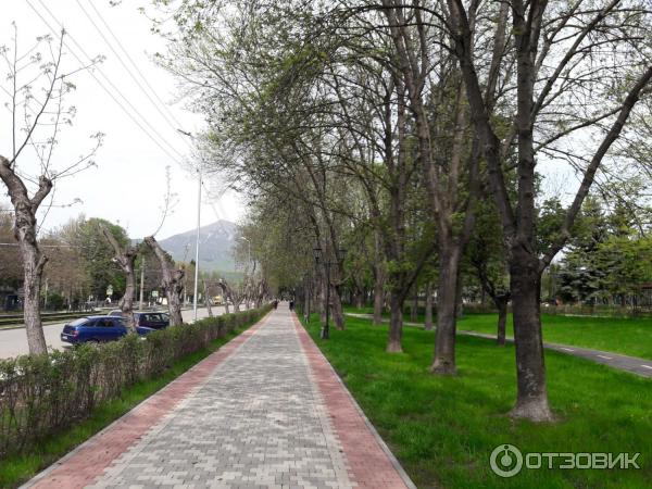 Комсомольский парк пятигорск фото