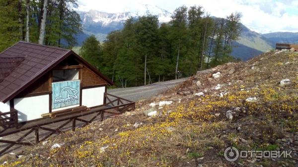 Экскурсия Роза Хутор + Олимпийский Парк (Россия, Адлер) фото