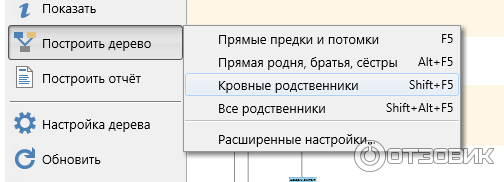 Программа для построения генеалогического дерева Древо Жизни фото