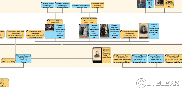 Программа для построения генеалогического дерева Древо Жизни фото