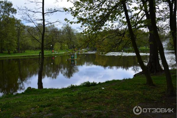 Отдых в Зеленоградске (Россия) фото