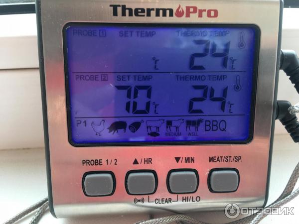 ThermoPro TP17