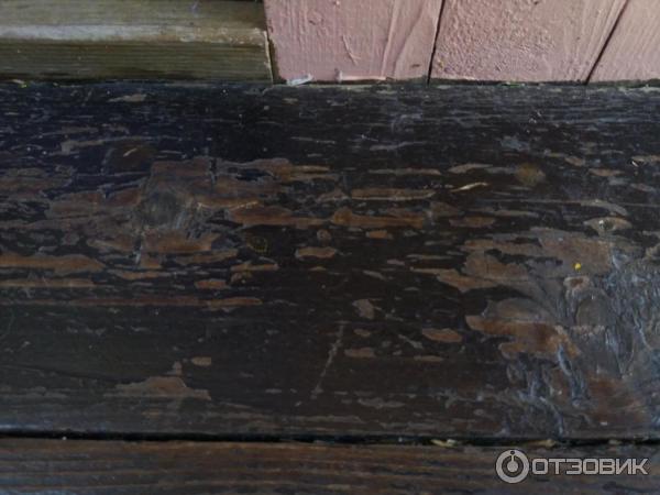 Лак слез даже с тех мест, по которым никто не ходит