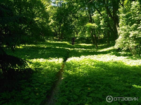 Ясная Поляна (Россия, Тульская область) фото