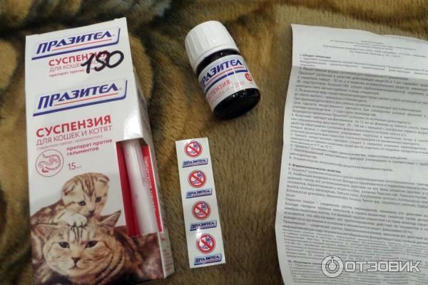Празител для кошек суспензия