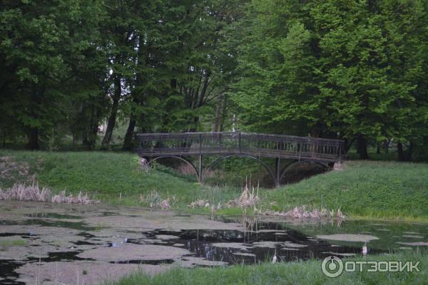 Экскурсия в Пружаны (Беларусь, Брестская область) фото