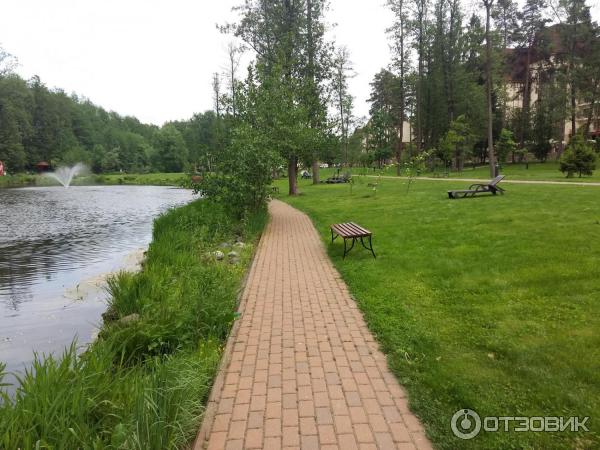 Конгресс-отель Ареал (Россия, Московская область) фото
