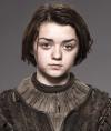 arya-