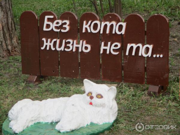 аллея котов