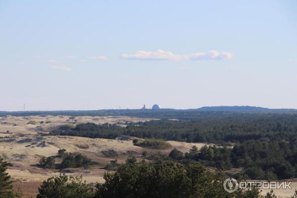 Отдых на Куршской косе (Россия, Калининградская область) фото