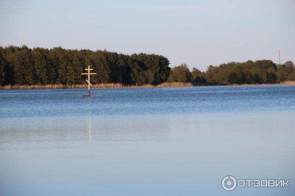 Отдых на Куршской косе (Россия, Калининградская область) фото