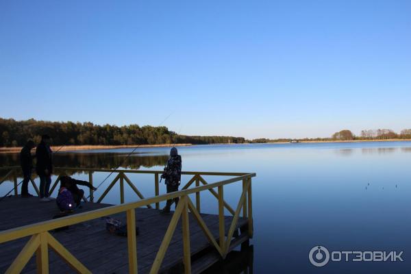 Отдых на Куршской косе (Россия, Калининградская область) фото