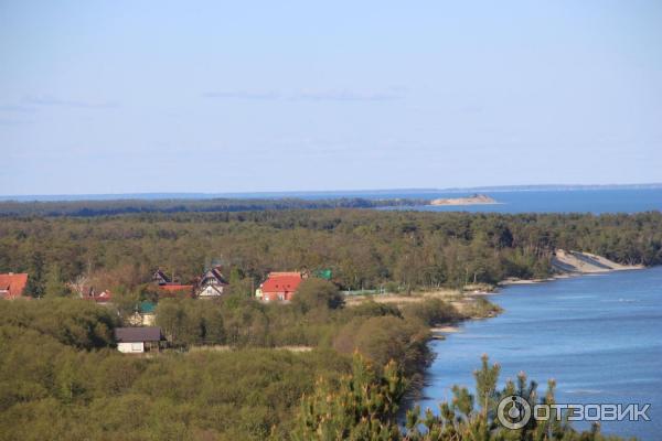 Отдых на Куршской косе (Россия, Калининградская область) фото